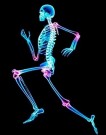 In a new study, MU researchers found that weight-bearing exercise, in this case, 	fast walking or jogging, did not prevent the increased bone turnover caused by weight loss.