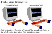Visual filtering task